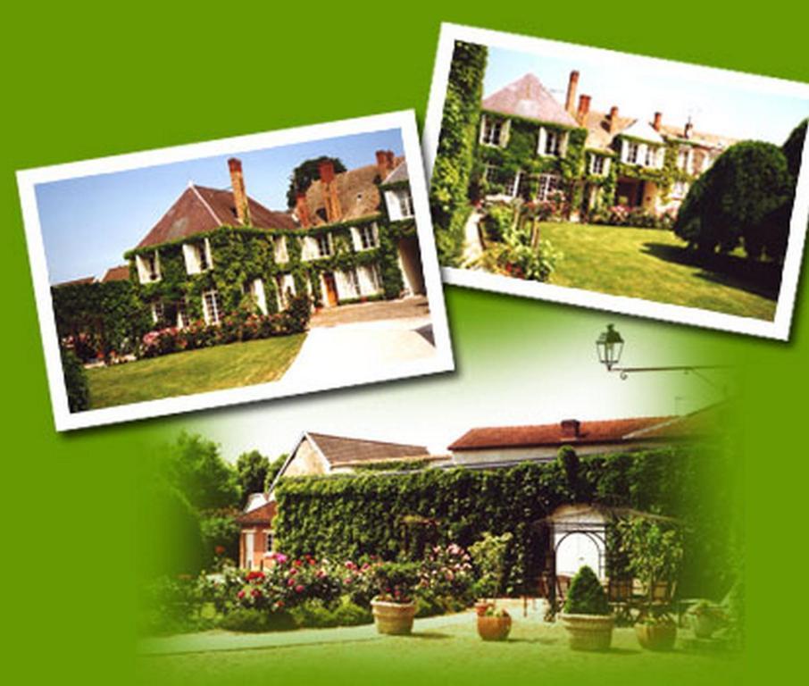 Bed and Breakfast La Cour Des Marotiers Mareuil-sur-Ay Zewnętrze zdjęcie